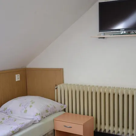 U Fouska Pensjonat Chodov (Karlovy Vary)